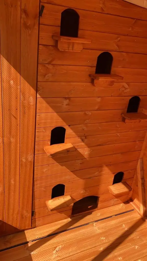 THIS IS A PHOTO OF AN AVIARY SECTION ANIMAL HOUSING