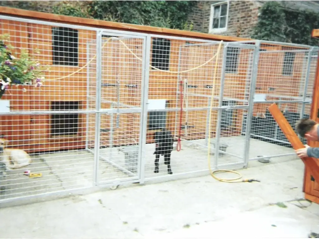 THIS IS A MULTI DOG KENNEL AND RUN