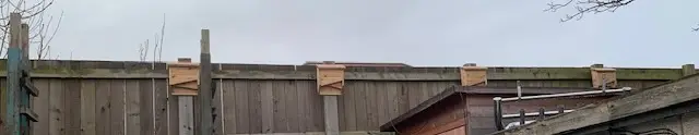 these are bat boxes at our work